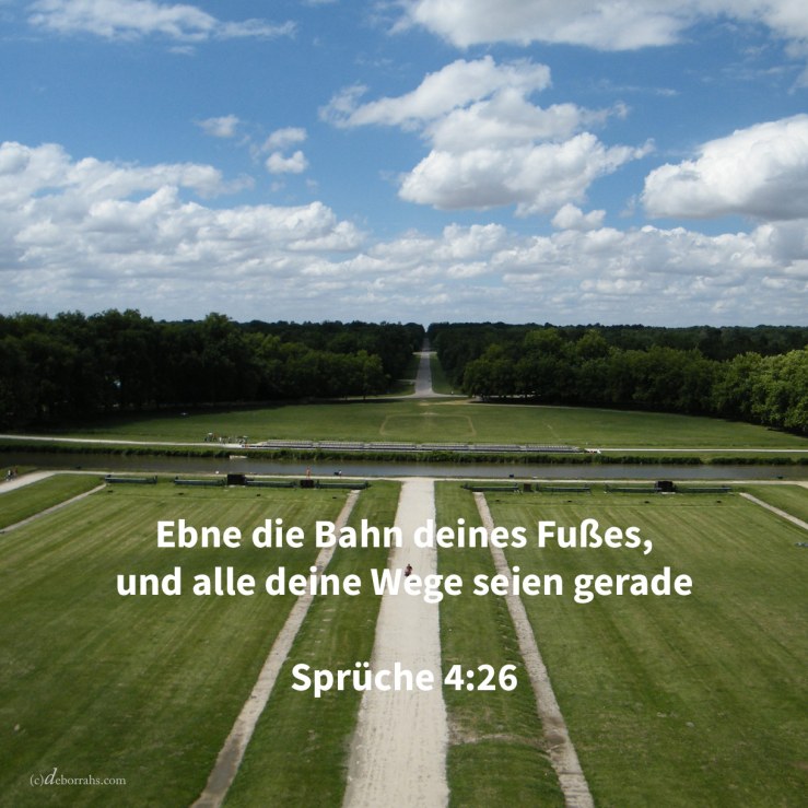 Ebne die Bahn deines Fußes, und alle deine Wege seien gerade, biege nicht aus zur Rechtn noch zur Linken, wende deinen Fuß ab vom Bösen ( Sprüche 4,26-27 )
