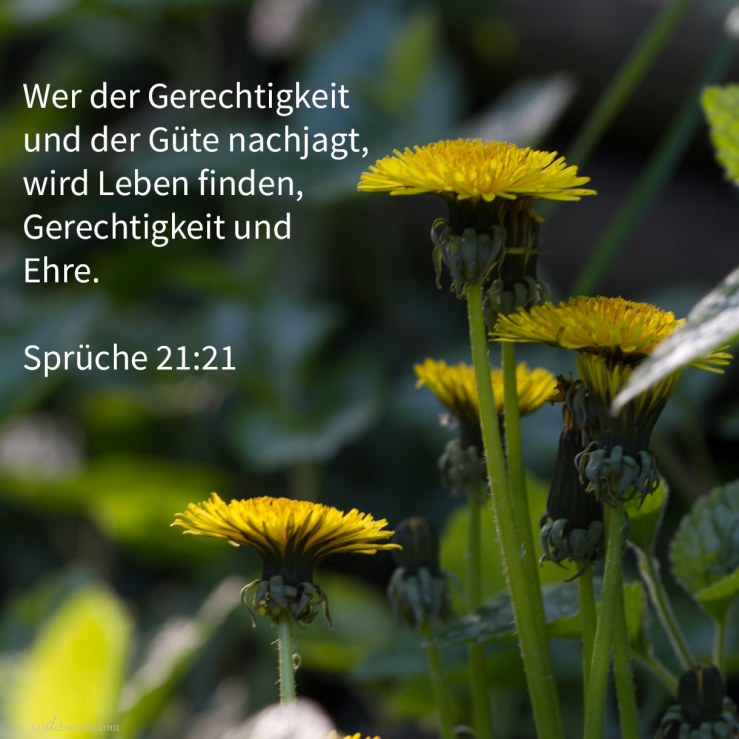 Wer der Gerechtigkeit und der Güte nachjagt, wird Leben finden, Gerechtigkeit und Ehre ( Sprüche 21,21 )