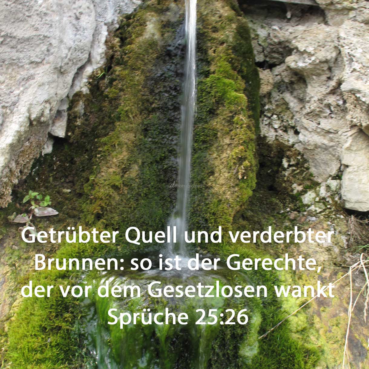 Getrübter Quell und verderbter Brunnen: so ist der Gerechte, der vor dem Gesetzlosen wankt ( Sprüche 25,26 ) 