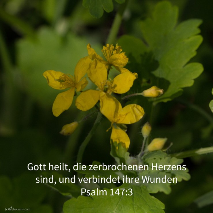 Jehovah, der da heilt, die zerbrochenen Herzens sind, und ihre Wunden verbindet ( Ps 147,3 )