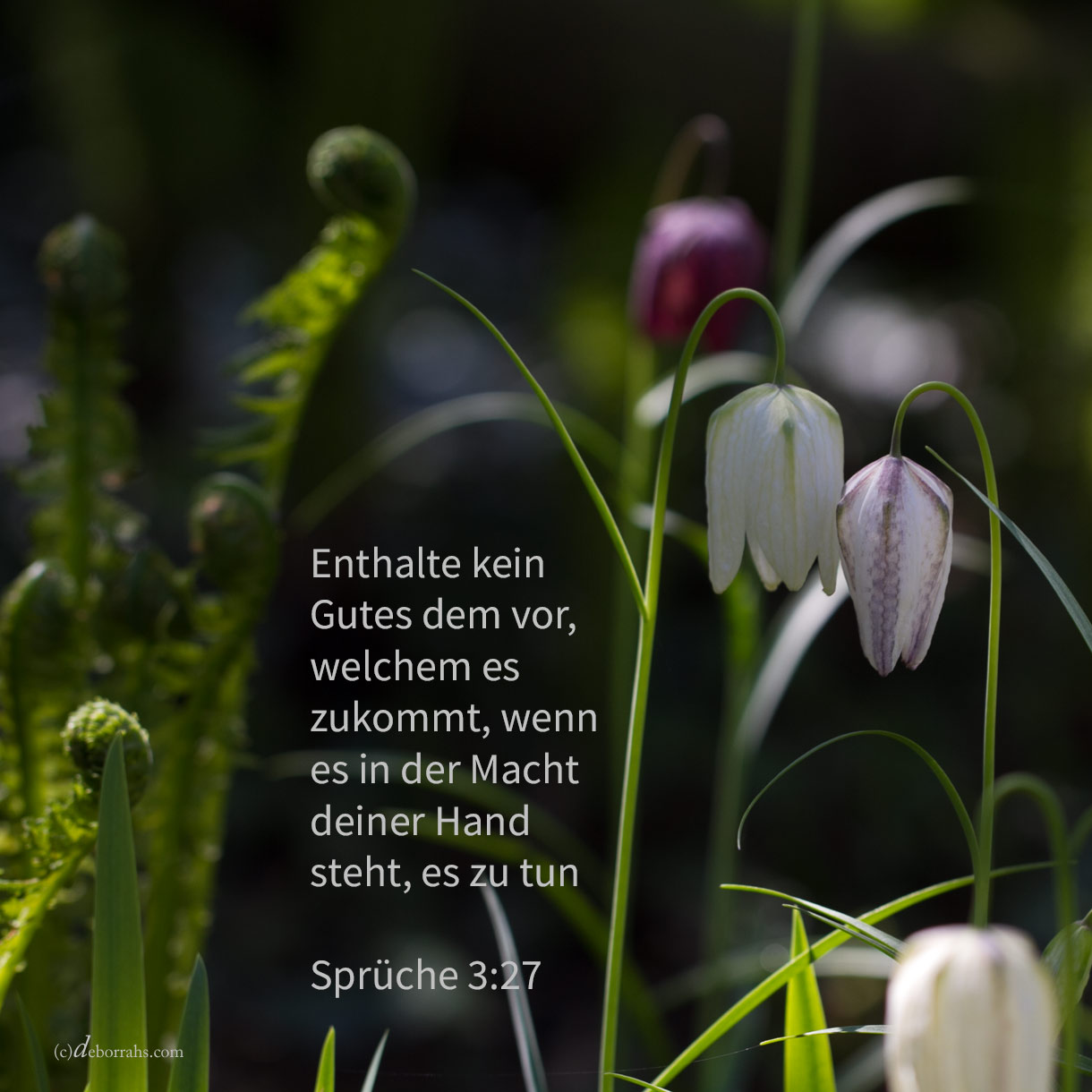 Enthalte kein Gutes dem vor, welchem es zukommt, wenn es in der Macht deiner Hand steht, es zu tun ( Sprüche 3,27 )