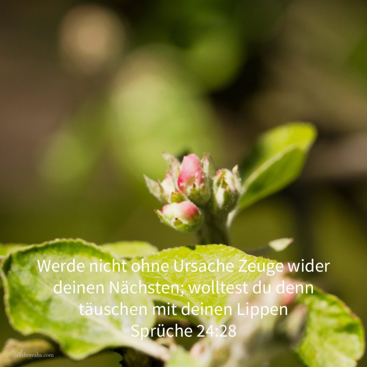 Werde nicht ohne Ursache Zeuge wider deinen Nächsten; wolltest du denn täuschen mit deinen Lippen ( Sprüche 24,28 )
