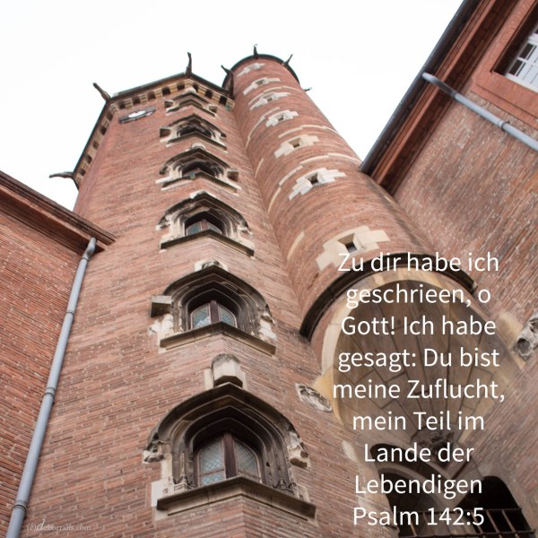 Zu dir habe ich geschrien, Jehova! Ich habe gesagt: du bist meine Zuflucht, mein Teil im Lande der Lebendigen ( Psalm 142,5 )