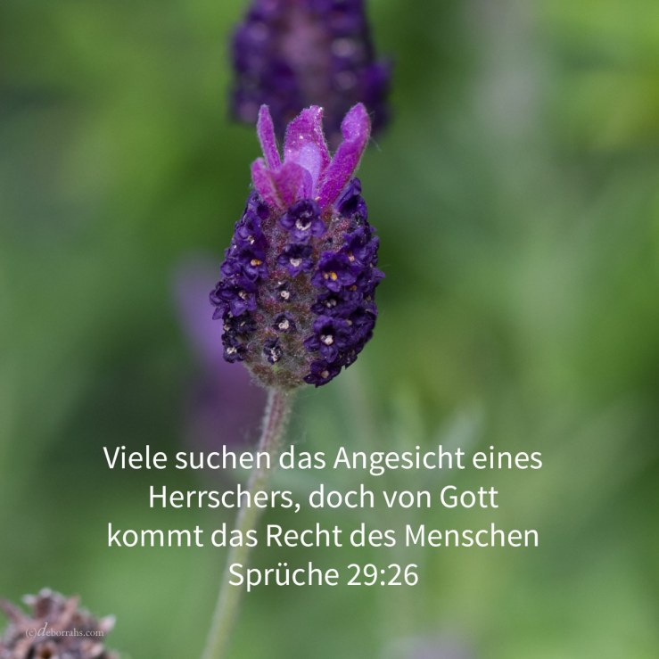 Viele suchen das Angesicht eines Herrschers, doch von Gott kommt das Recht des Menschen ( Sprüche 29,26 )