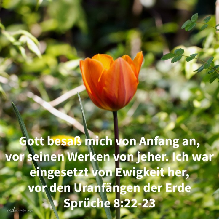 Jehova besaß mich im Anfang seines Weges, vor seinen Werken von jeher. Ich war eingsetzt von Ewigkeit her, von Anbeginn, vor den Uranfängen der Erde ( Sprüche 8,22-23 )