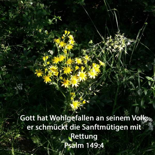 Denn Jehova hat Wohlgefallen an seinem Volke; er schmückt die Sanftmütigen mit Rettung ( Psalm 149,4 )