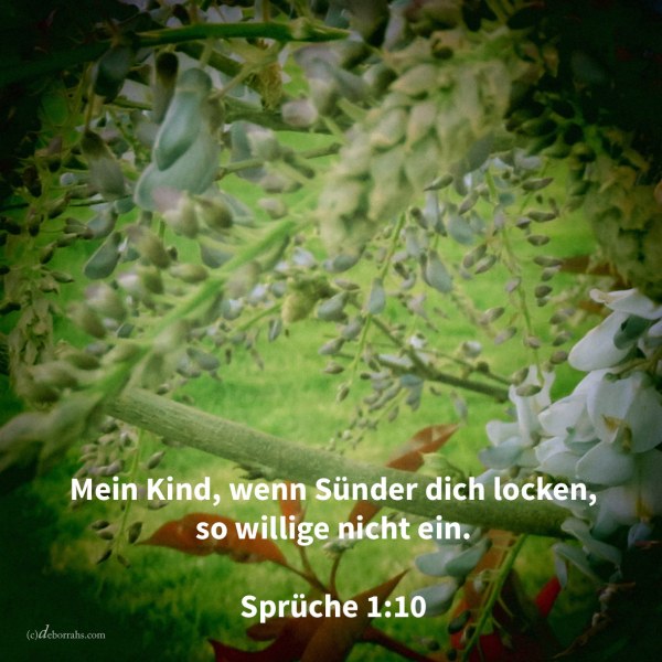 Mein Kind, wenn Sünder dich locken, so willige nicht ein (Sprüche 1,10 )