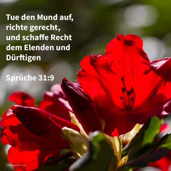 Tue den Mund auf, richte gerecht, und schaffe Recht dem Elenden und dem Dürftigen ( Sprüche 31,9 )