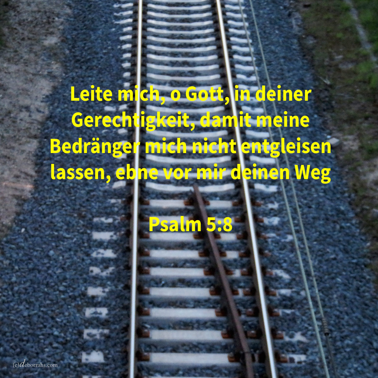 Leite mich, Jehova, in deiner Gerechtigkeit um meiner Feinde willen; ebne vor mir deinen Weg ( Psalm 5,8 ) 