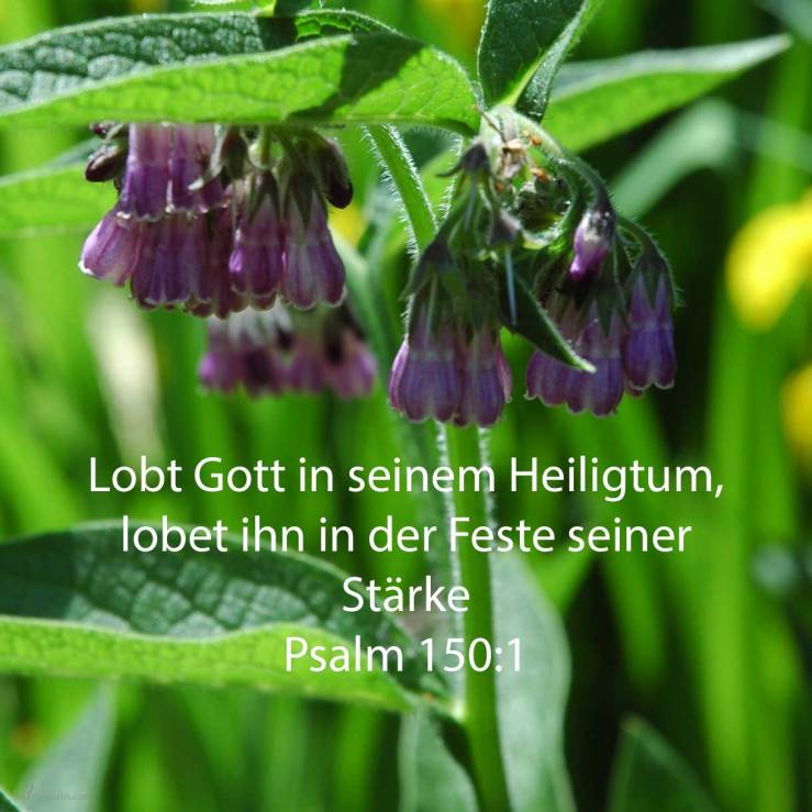 Lobet Gott in seinem Heiligtum; lobet ihn in der Feste seiner Stärke ( Psalm 150,1 )