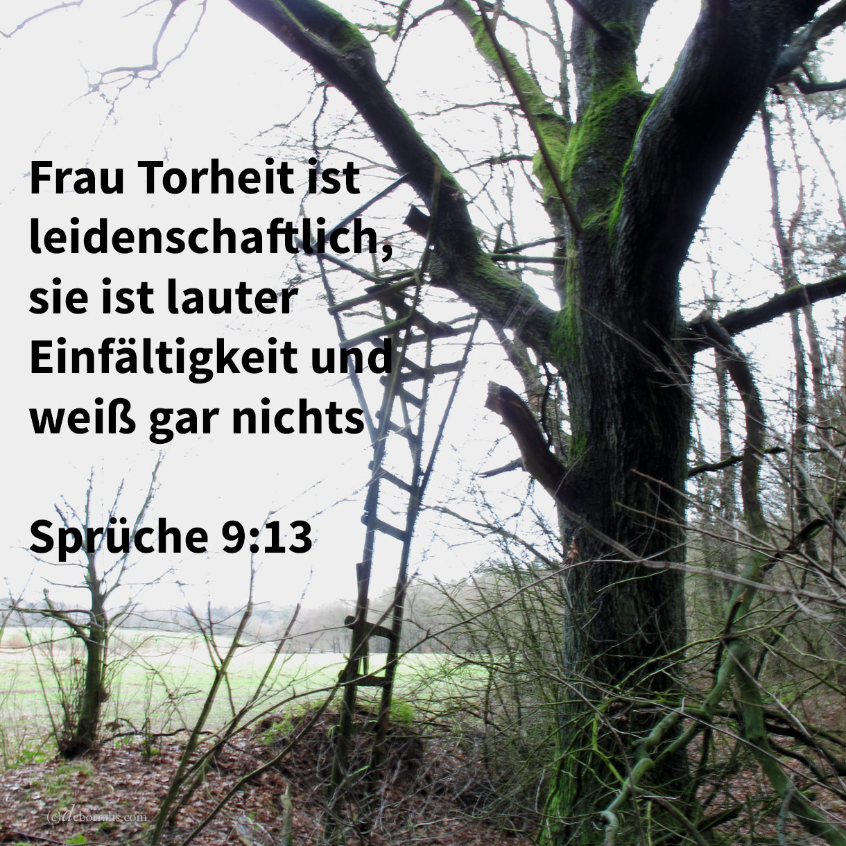 Frau Torheit ist leidenschaftlich; sie ist lauter Einfältigkeit und weiß gar nichts ( Sprüche 9,13 )