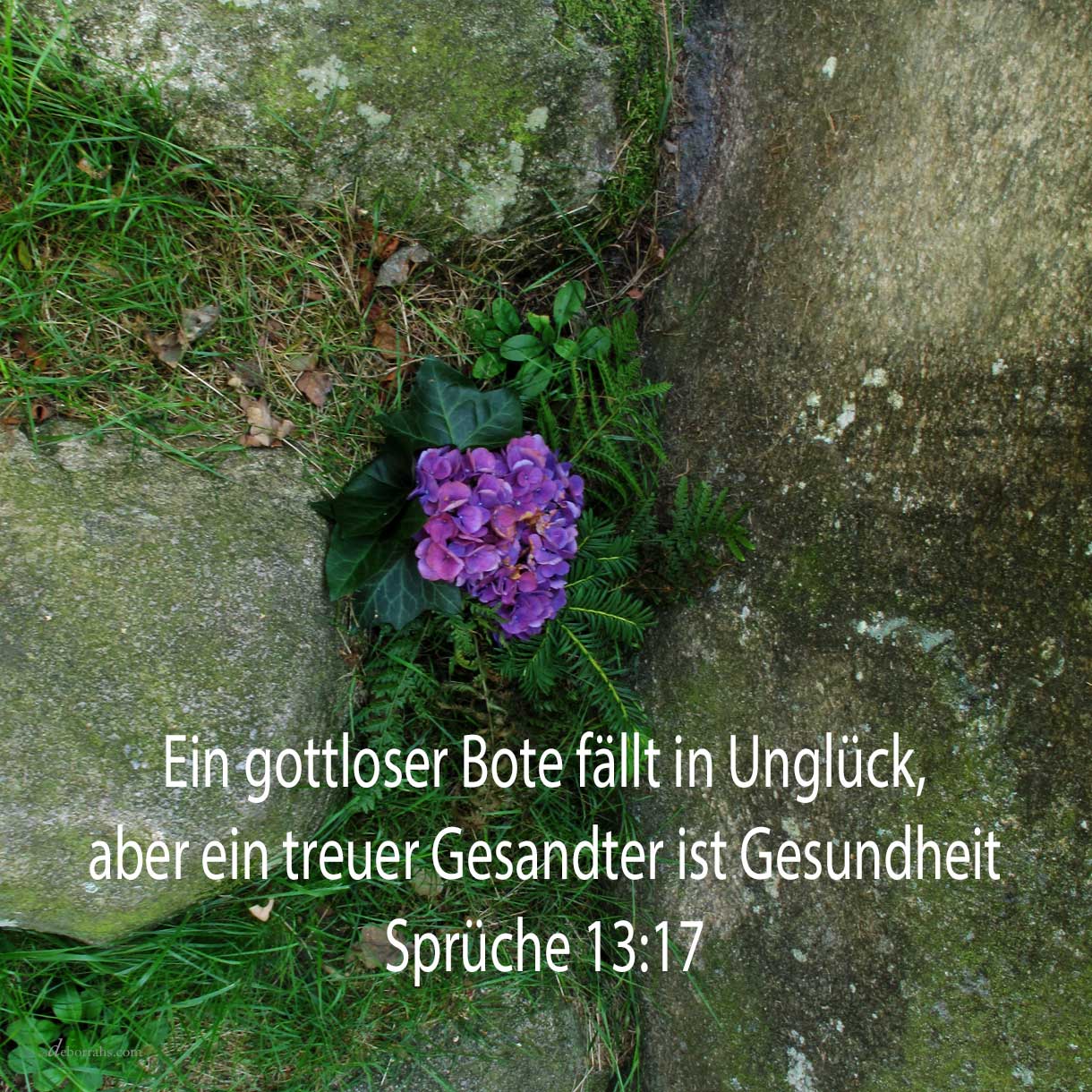 Wenn du, Jehova, merkst auf die Ungerechtigkeiten: Herr, wer wird bestehen? doch bei dir ist Vergebung, damit du gefürchtet werdest ( Psalm 130,3-4 ) 