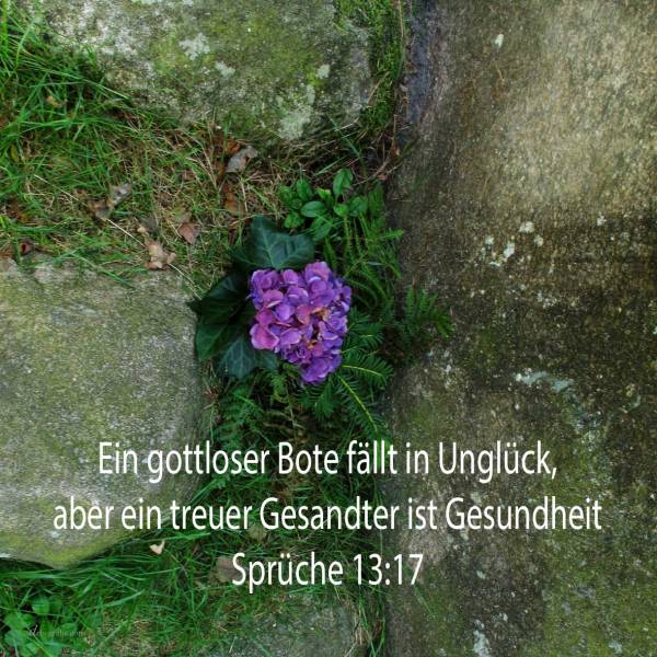 Ein gottloser Bote fällt in Unglück, aber ein treuer Gesandter ist Gesundheit ( Sprüche 13,17 )