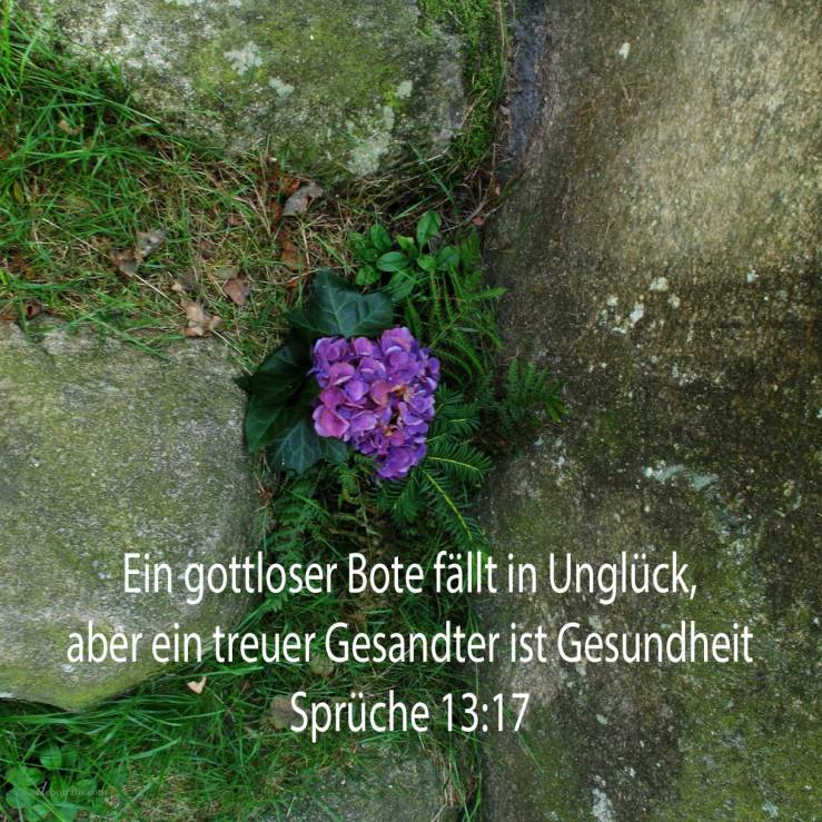 Ein gottloser Bote fällt in Unglück, aber ein treuer Gesandter ist Gesundheit ( Sprüche 13,17 )