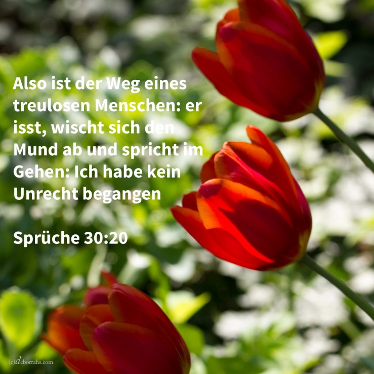 Also ist der Weg eines ehebrecherischen Weibes: sie isst, und sicht ihren Mund und spricht: Ich habe kein Unrecht begangen ( Sprüche 30,20 )