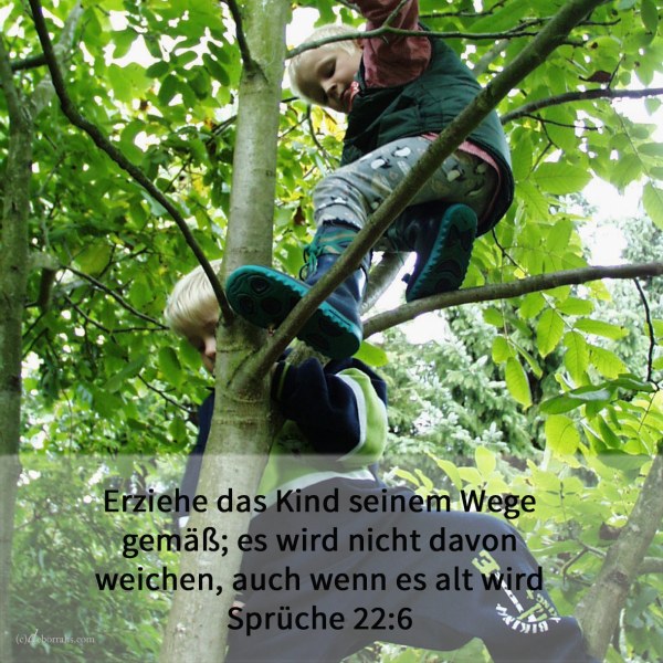 Erziehe den Knaben seinem Wege gemäß; es wird nicht davon weichen, auch wenn es alt wird ( Sprüche 22,6 )