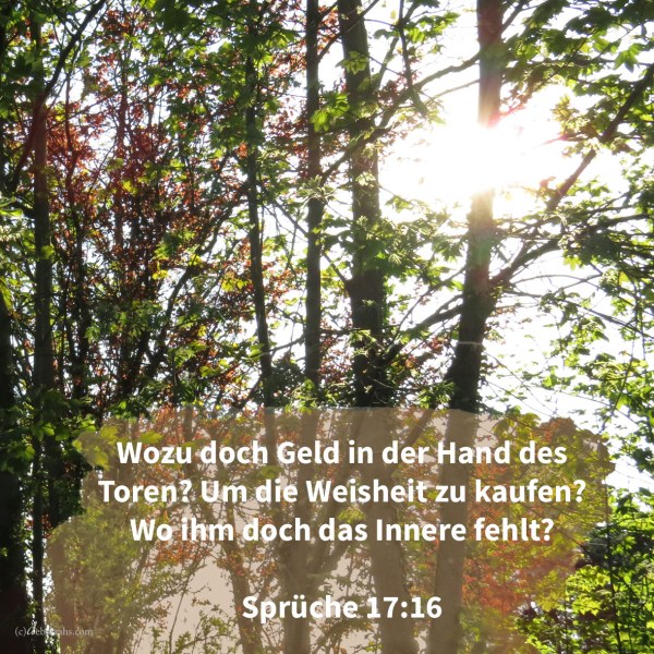 Wozu doch Geld in der Hand eines Toren, um Weisheit zu kaufen, da ihm doch der Verstand fehlt? ( Sprüche 17,16 )