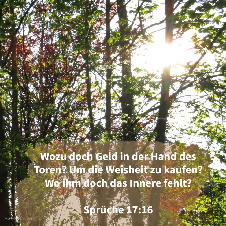Wozu doch Geld in der Hand eines Toren, um Weisheit zu kaufen, da ihm doch der Verstand fehlt? ( Sprüche 17,16 )