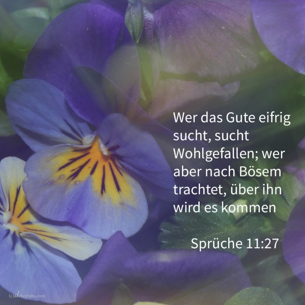 Wer das Gute eifrig sucht, sucht Wohlgefallen; wer aber nach Bösem trachtet, über ihn wird es kommen ( Spr 11:27 )