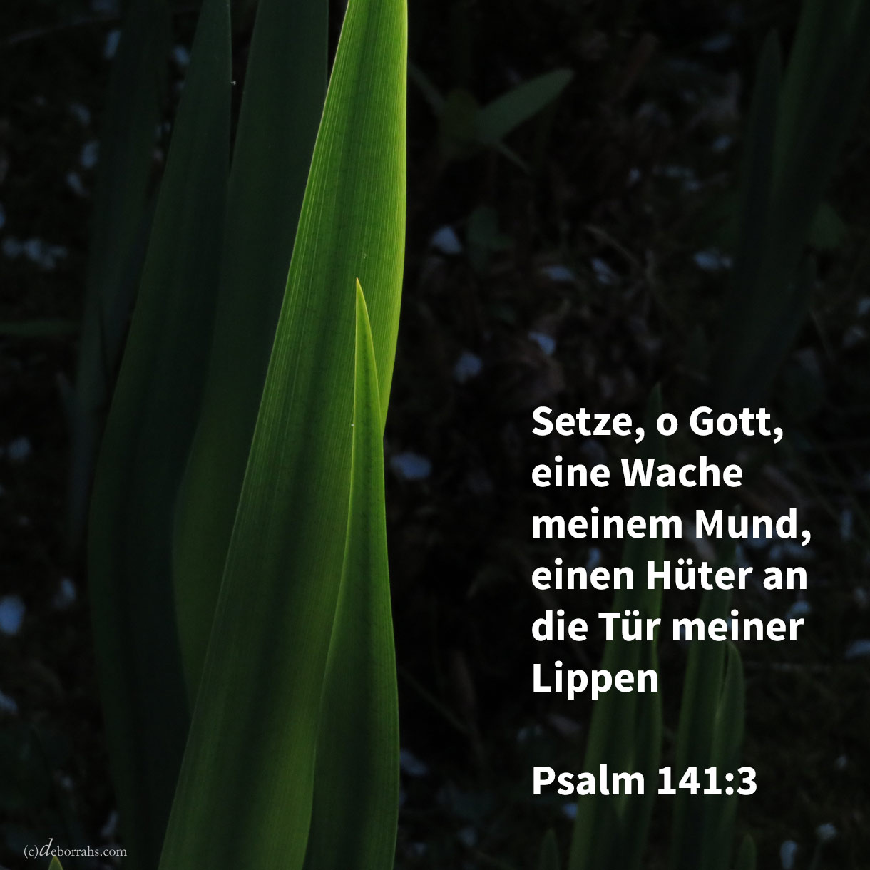 Setze, Jehova, eine Wache meinem Munde; behüte die Tür meiner Lippen! ( Psalm 141,3 ) 