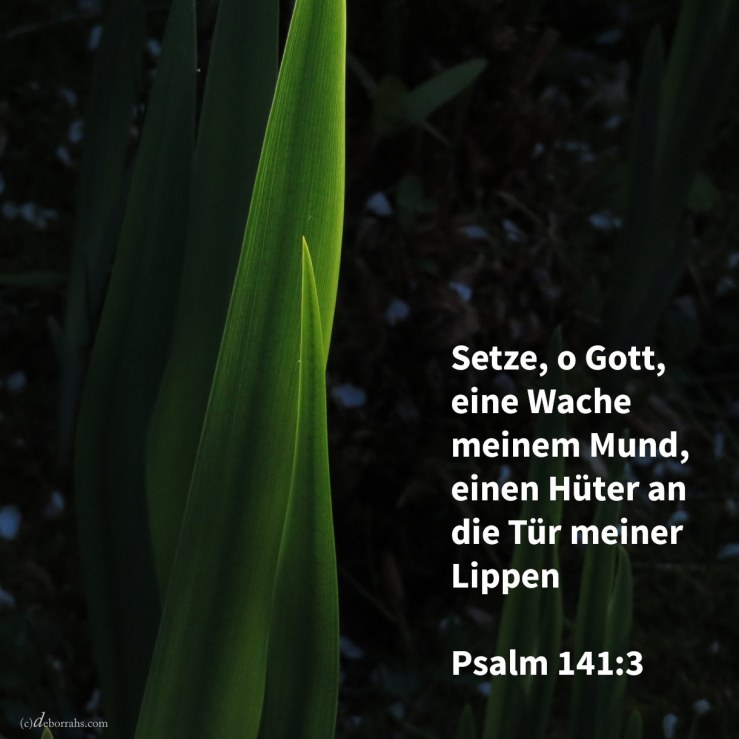 Setze, Jehova, eine Wache meinem Munde; behüte die Tür meiner Lippen! ( Psalm 141,3 )