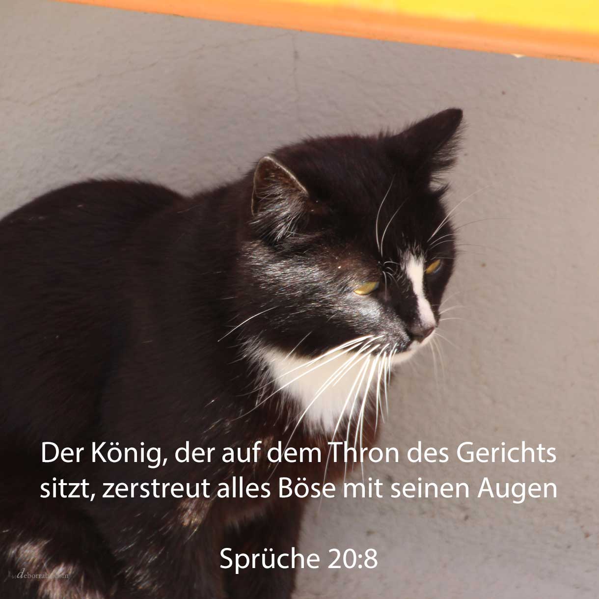 Ein König, der auf dem Throne des Gerichts sitzt, zerstreut alles Böse mit seinen Augen ( Sprüche 20,8 ) 