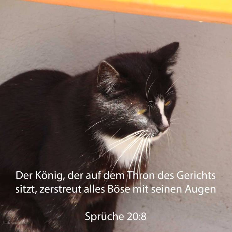 Ein König, der auf dem Throne des Gerichts sitzt, zerstreut alles Böse mit seinen Augen ( Sprüche 20,8 )