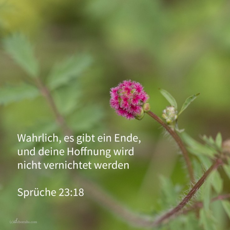 Wahrlich, es gibt ein Ende, und deine Hoffnung wird nicht vernichtet werden ( Sprüche 23,18 )