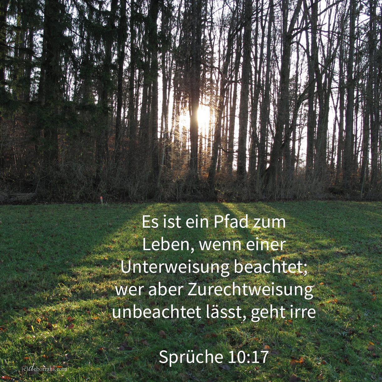 Es ist der Pfad zum Leben, wenn einer Unterweisung beachtet; wer aber Zucht unbeachtet lässt, geht irre ( Sprüche 10,17 )