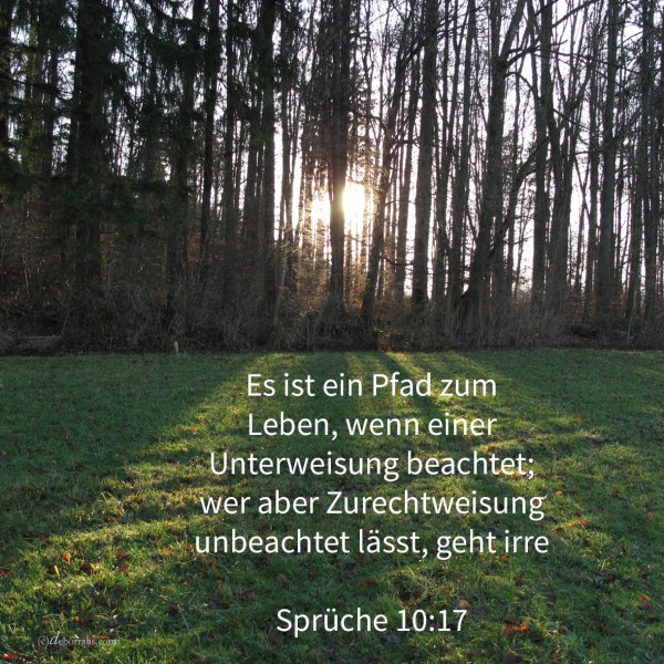 Es ist der Pfad zum Leben, wenn einer Unterweisung beachtet; wer aber Zucht unbeachtet lässt, geht irre ( Sprüche 10,17 )