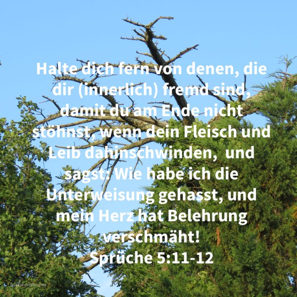Halte dich fern von denen, die dir (innerlich) fremd sind, damit du am Ende nicht stöhnst, wenn dein Fleisch und Leib dahinschwinden, und sagst: Wie habe ich die Unterweisung gehasst, und mein Herz hat Belehrung verschmäht! Sprüche ( 5, 11-12)