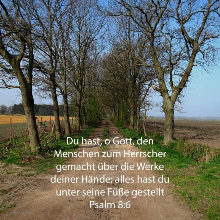 Du hast, o Gott, den Menschen zum Herrscher gemacht über die Werke deiner Hände; alles hast du unter seine Füße gestellt ( Psalm 8,6)