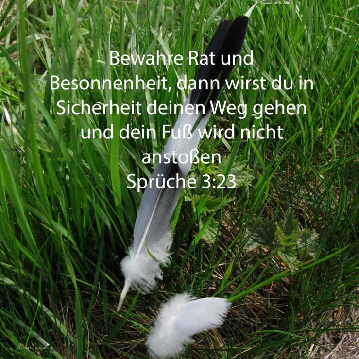 Bewahre klugen Rat und Besonnenheit, dann wirst du in Sicherheit deinen Weg gehen, und dein Fuß wird nicht anstoßen ( Sprüche 3,23 )