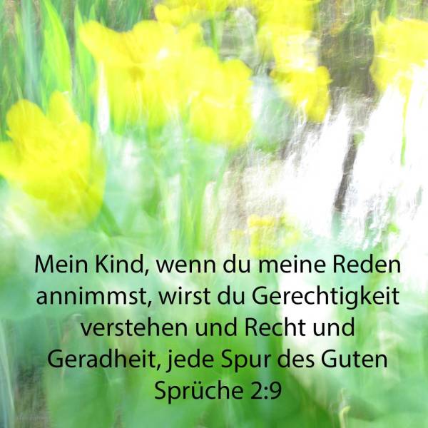 Mein Kind, wenn du meine Reden annimmst, wirst du Gerechtigkeit verstehen und Recht und Geradheit, jede Spur des Guten ( Sprüche 2,9 )