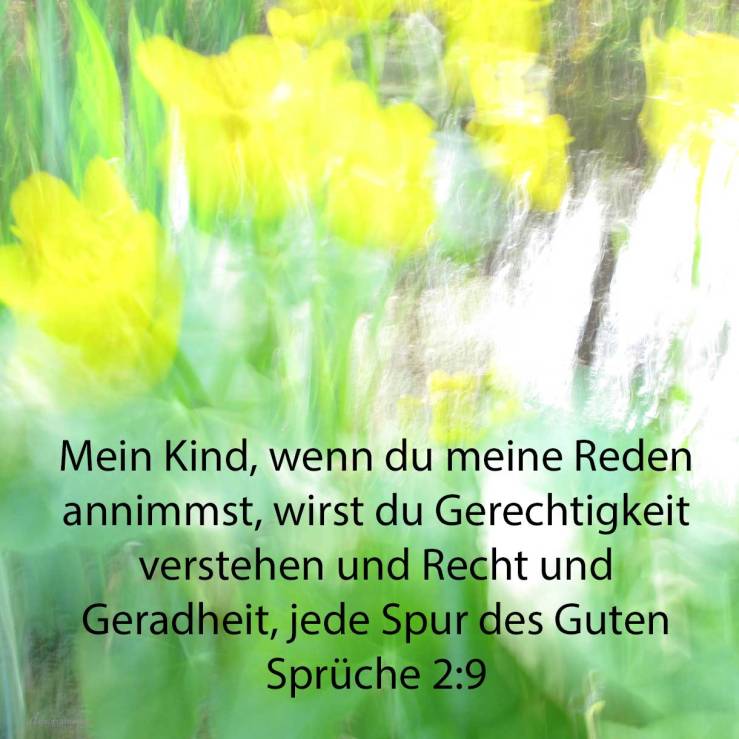 Mein Kind, wenn du meine Reden annimmst, wirst du Gerechtigkeit verstehen und Recht und Geradheit, jede Spur des Guten ( Sprüche 2,9 )