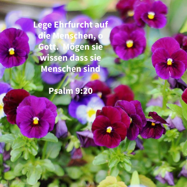 Lege Furcht auf die Menschen, Jehova; mögen die Nationen wissen, dass sie Menschen sind ( Ps 9,20 )