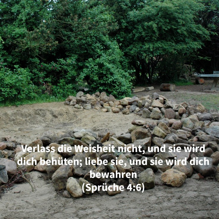 Verlass die Weisheit nicht, und sie wird dich behüten; liebe sie, und sie wird dich bewahren ( Sprüche 4,6 )
