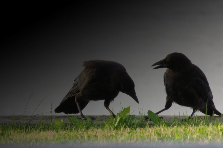 Attentat IS Nizza - Opfer