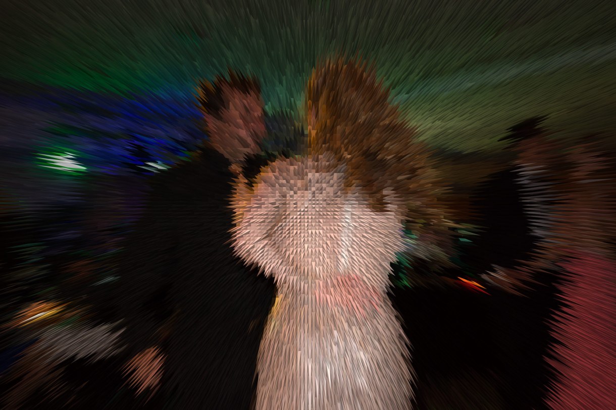 Party – Let’s dance