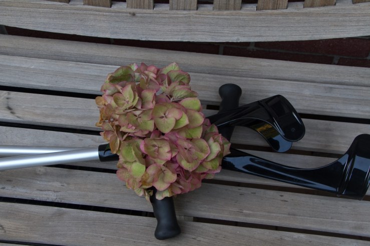 Wink mit dem Krückstock