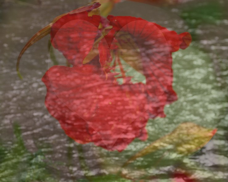 Weinendes Herz - and the heart is crying