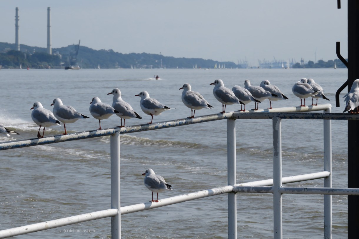  Perzeptionen - Wahrnehmungen