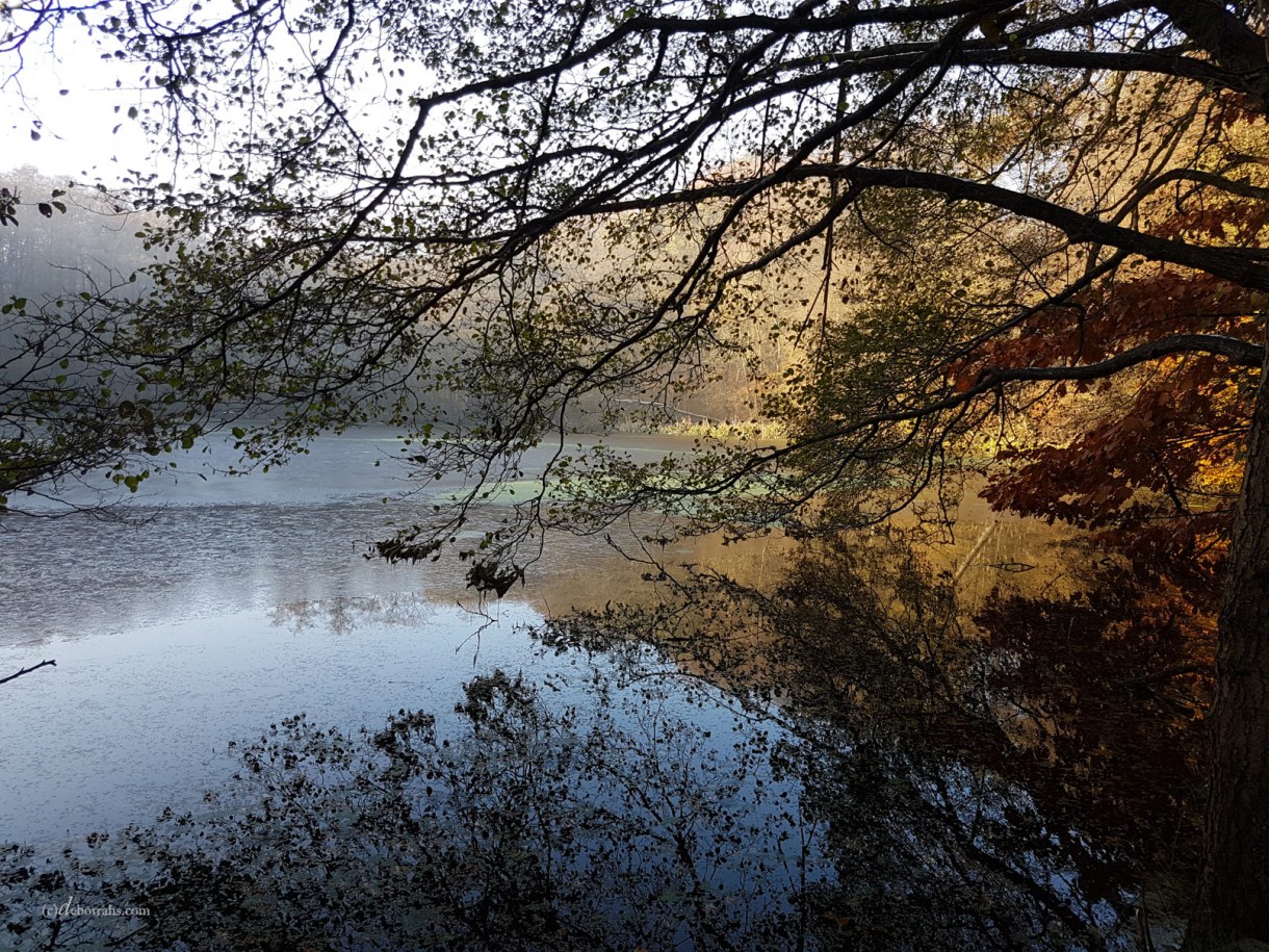  Dunkelheit frisst Licht 