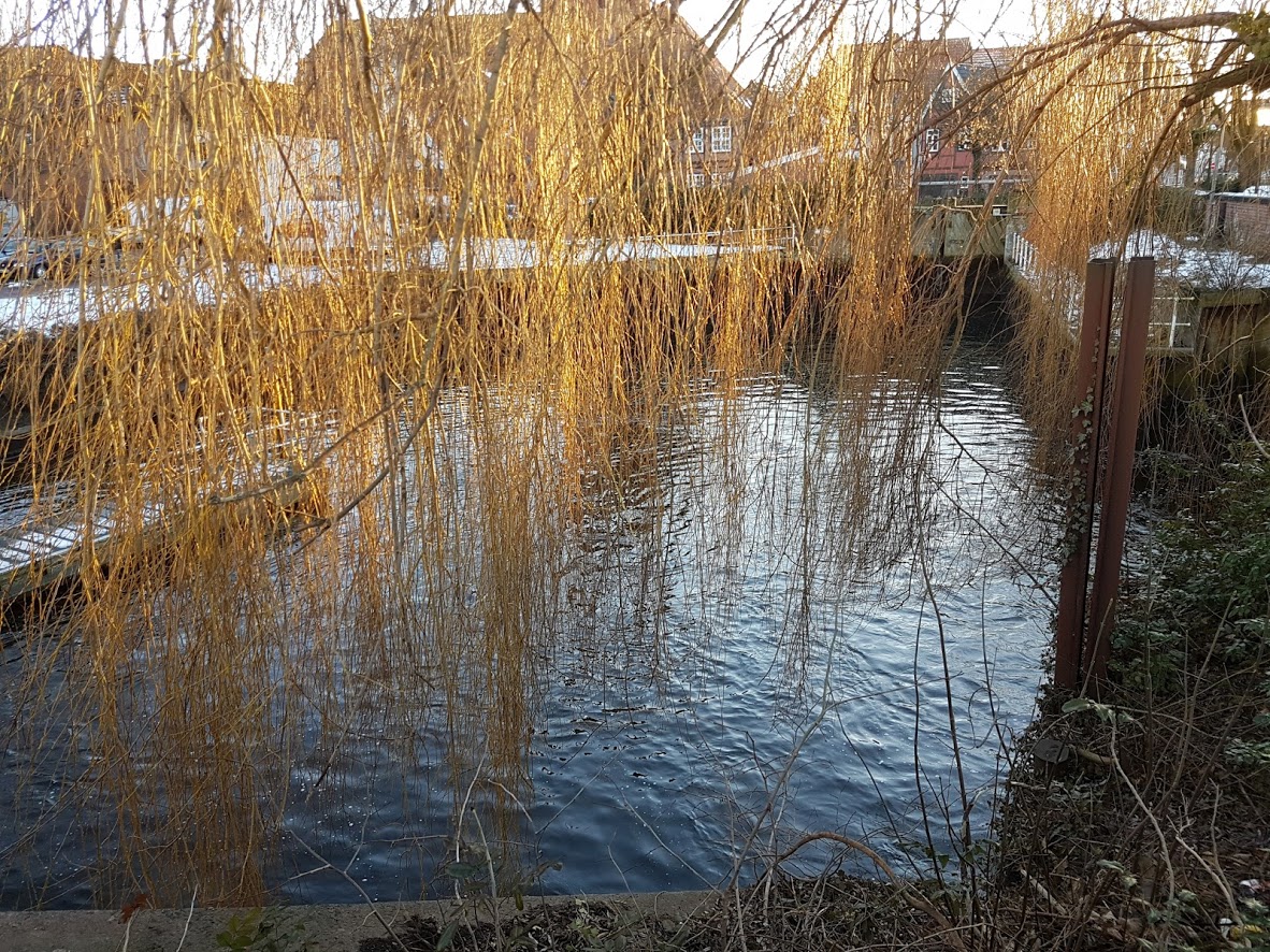  Verdeckte Sicht Marta