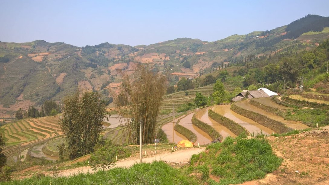 Stufen der Erleuchtung